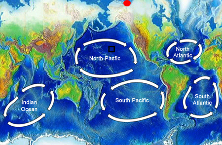 <a href="/earth/Water/ocean_gyres.html&edu=elem">Ocean gyres</a> are large swirling bodies of water that are often on the scale of a whole <a href="/earth/Water/ocean.html&edu=elem">ocean</a> basin. Ocean gyres dominate the open ocean and represent the long-term average pattern of ocean <a href="/earth/Water/ocean_currents.html&edu=elem">surface currents</a>. This image shows the five major ocean gyres. Gyres rotate in a clockwise direction in the Northern hemisphere and a counter-clockwise direction in the Southern hemisphere because of the <a href="/physical_science/physics/mechanics/Coriolis.html&edu=elem">Coriolis Effect</a>.<p><small><em> Windows Original (Original map is from <a href="http://commons.wikimedia.org/wiki/Main_Page">Wikipedia Commons</a>)</em></small></p>
