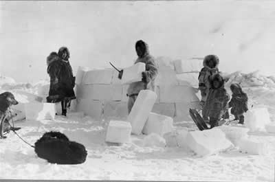 <a href="/earth/polar/inuit_culture.html&edu=high&dev=">The
  Inuit</a> are the native cultures that continue to live on coastal areas of <a
  href="/earth/polar/arctic_tundra.html&edu=high&dev=">Arctic
  tundra</a> in Canada, Alaska (USA), Siberia (Russia), and Greenland. This
  picture shows several Inuit constructing an igloo with blocks of <a
  href="/earth/polar/cryosphere_snow1.html&edu=high&dev=">snow</a>
  in November, 1924. Traditionally, Inuit lived in igloos during the coldest
  months and tent-like huts during the warmer months.<p><small><em>   Library of Congress Prints and Photographs, Photograph by Frank E. Kleinschmidt</em></small></p>
