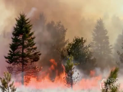 <p>Something on Earth is always burning! NASA's Earth Observatory tracks wildfires across the world with <a href="http://earthobservatory.nasa.gov/GlobalMaps/view.php?d1=MOD14A1_M_FIRE" target="_blank">maps available for viewing</a> from 2000-present. Some wildfires can restore <a href="/earth/ecosystems.html&dev=1">ecosystems</a> to good health, but many can threaten human populations, posing a natural disaster threat.</p>
<p>Check out the materials about natural disasters in <a href="/earth/natural_hazards/when_nature_strikes.html&dev=1">NBC Learn Videos</a>, and their earth system science connections built up by the related secondary classroom activities.</p><p><small><em>NBC Learn</em></small></p>