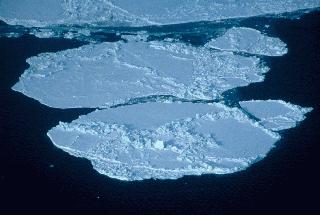 The production of sea ice is also important to the layering of water in the Arctic Ocean. As <a href="/earth/polar/sea_ice.html&edu=high&dev=1">sea ice</a> is made near the Bering Strait, salt is released into the remaining non-frozen water. This non-frozen water becomes very salty and very dense and so it sinks below the cold, relatively fresh Arctic water, forming a layer known as the <a href="/earth/Water/salinity_depth.html&edu=high&dev=1">Halocline</a>. The Halocline layer acts as a buffer between sea ice and the warm, salty waters that have come in from the Atlantic.<p><small><em>   NASA</em></small></p>